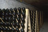 pictures/1993/1993 studiereis frankrijk belgie luxemburg 2